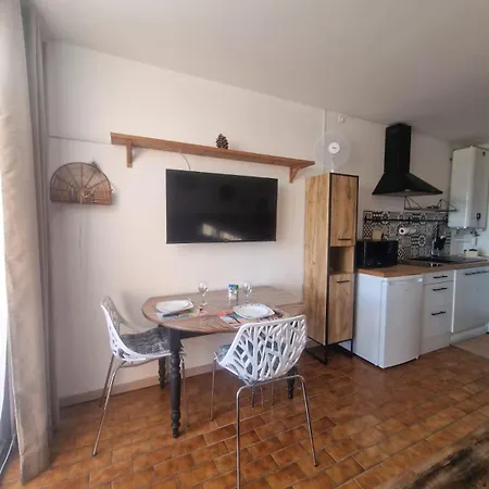 Apartmán La Baronnie Cosy Tres Bien Equipe Avec Terrasse, 4 Pers, Tres Proche Et Tous Commerces, Climatisation Et Parking Prive *
