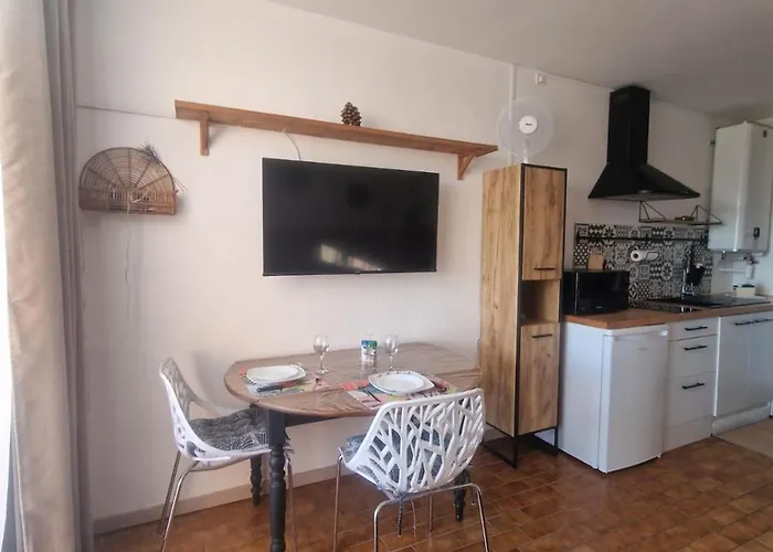 Apartamento La Baronnie Studio Cosy Tres Bien Equipe Avec Terrasse, 4 Pers, Tres Proche Plage Et Tous Commerces, Climatisation Et Parking Prive *