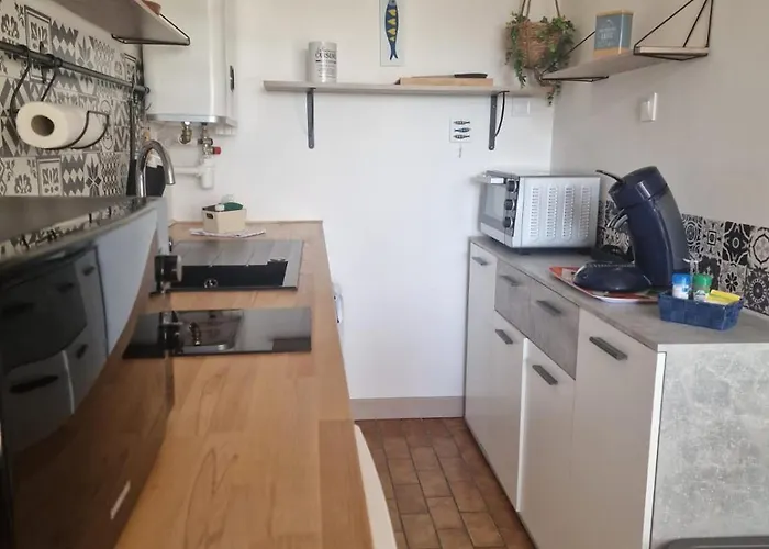 La Baronnie Studio Cosy Tres Bien Equipe Avec Terrasse, 4 Pers, Tres Proche Plage Et Tous Commerces, Climatisation Et Parking Prive Apartamento Le Grau-du-Roi